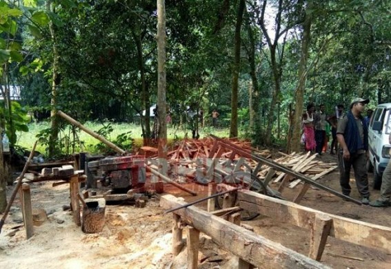 Illegal sawmills seized from two places 